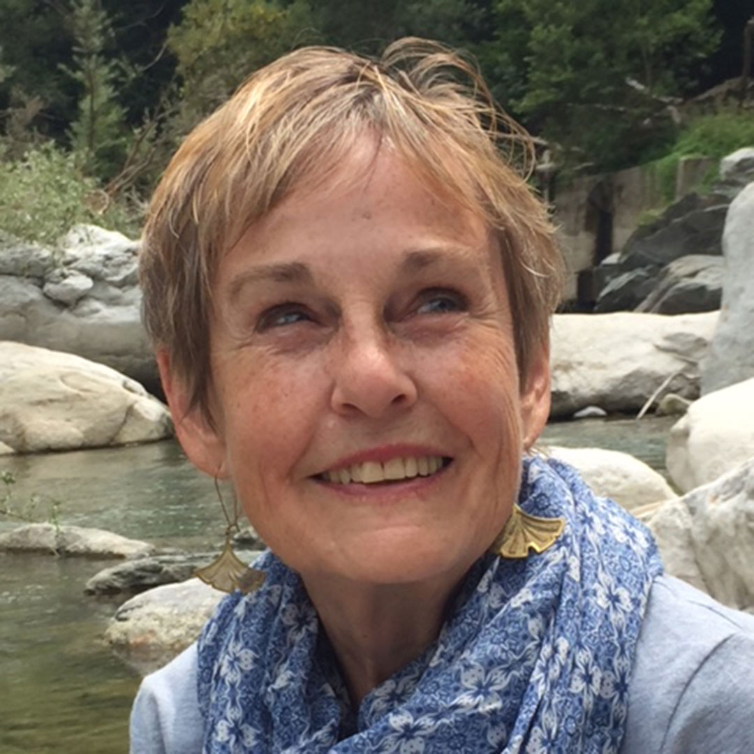 Ann Fisher-Wirth